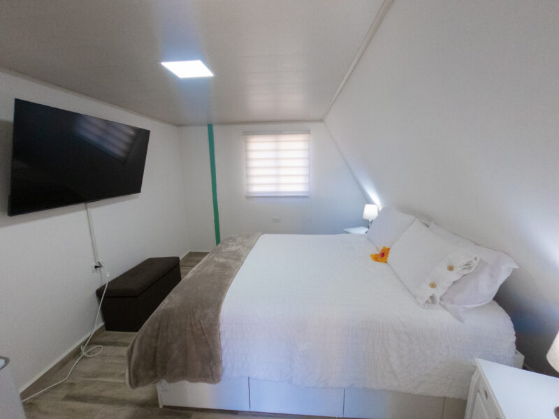 LUXURY ECO - Imagen 4