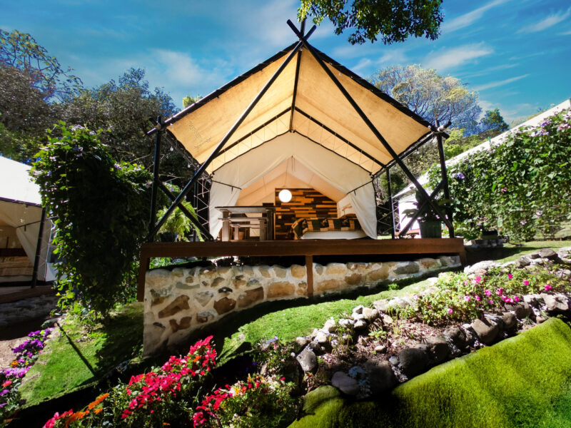 LUXURY ECO - Imagen 8