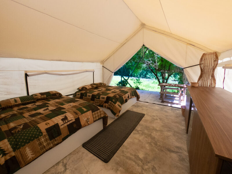 LUXURY ECO - Imagen 9