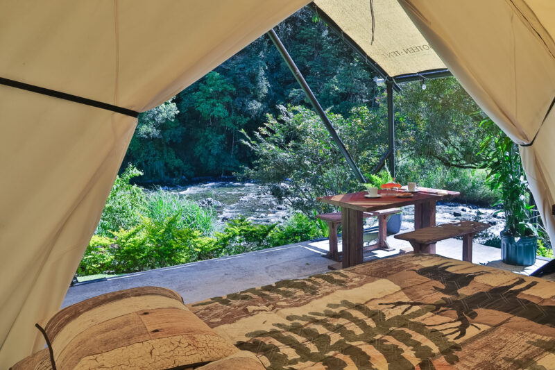 LUXURY ECO - Imagen 11