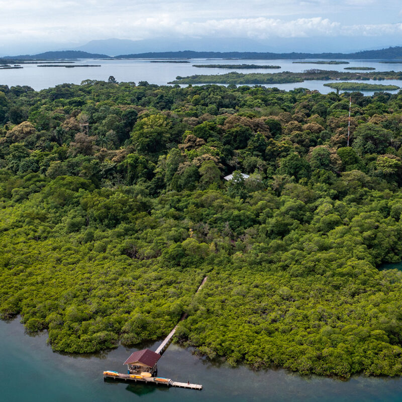 Tranquilo Bay Eco Adventure Lodge - Imagen 2