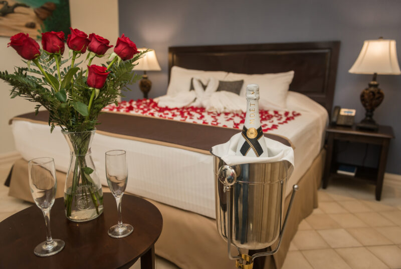 HOTEL PRESIDENTE - Imagen 2