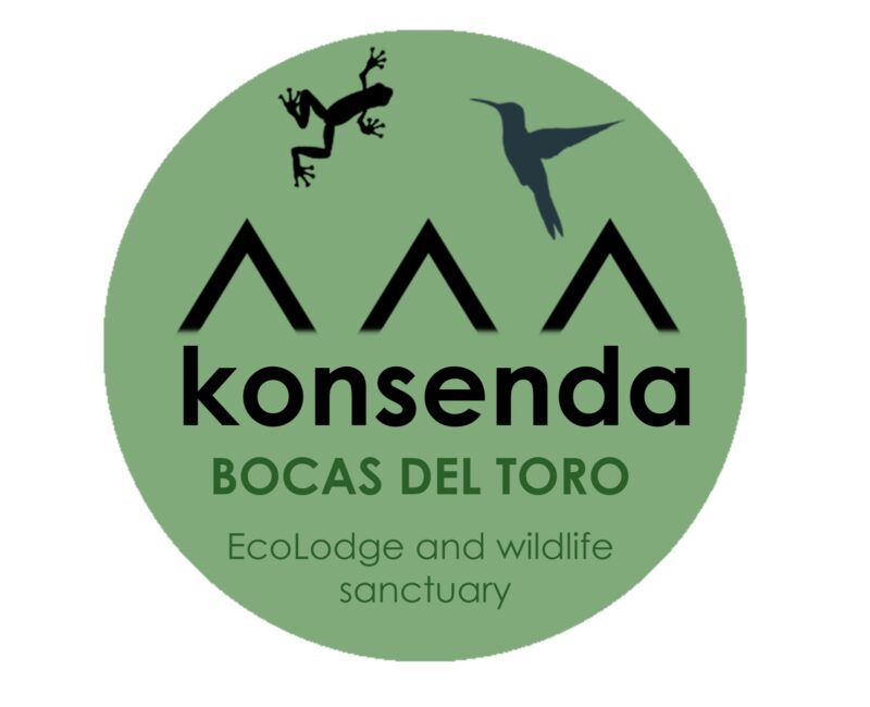 Konsenda Bocas del Toro