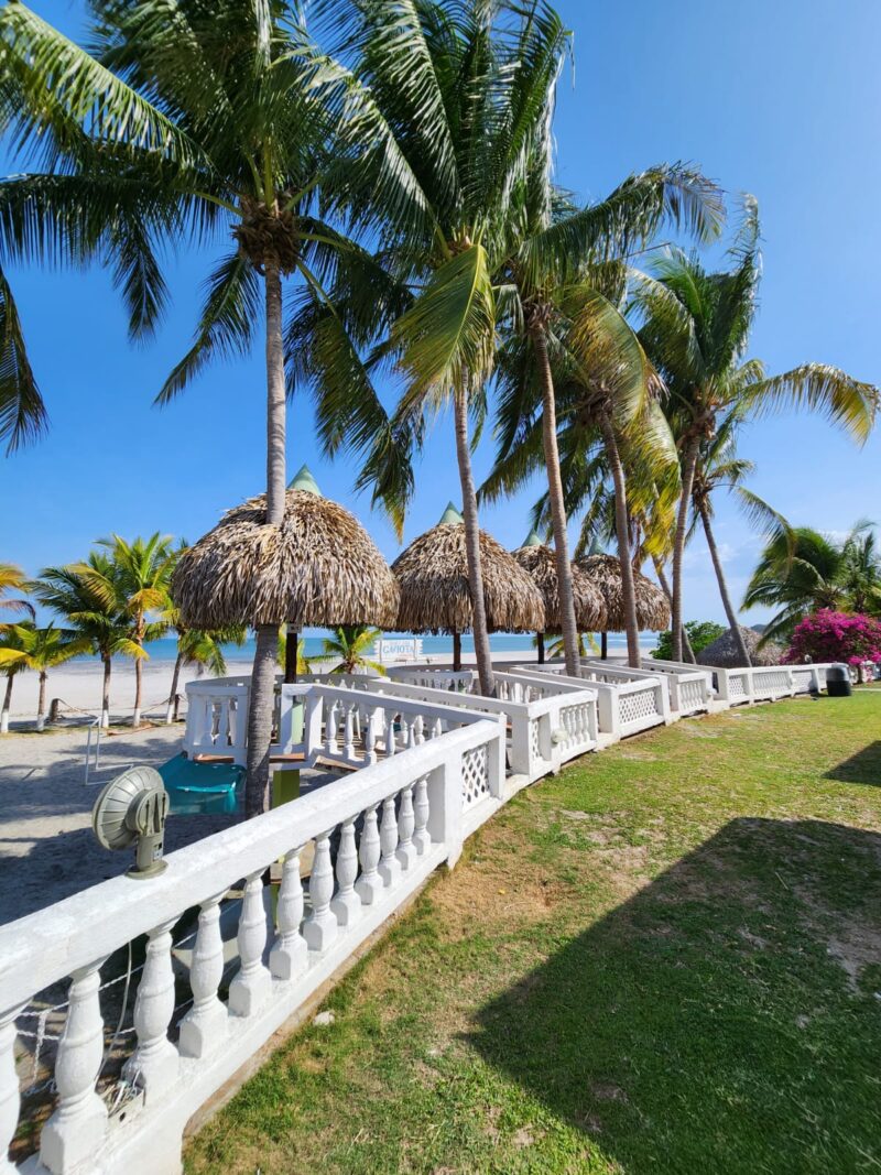 Hotel y Club Gaviota - Imagen 2