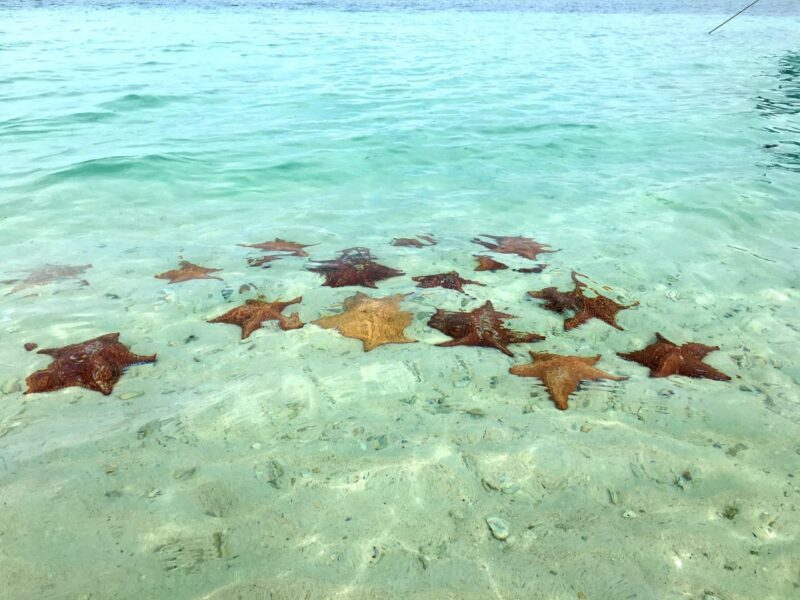 MELITOURS - SANBLAS - Imagen 12