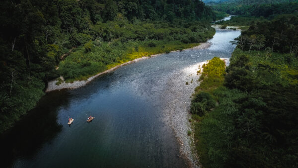 DAMSELFLY Tours & Travels