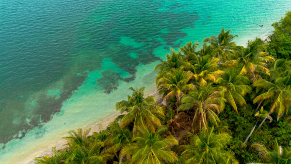 DAMSELFLY Tours & Travels
